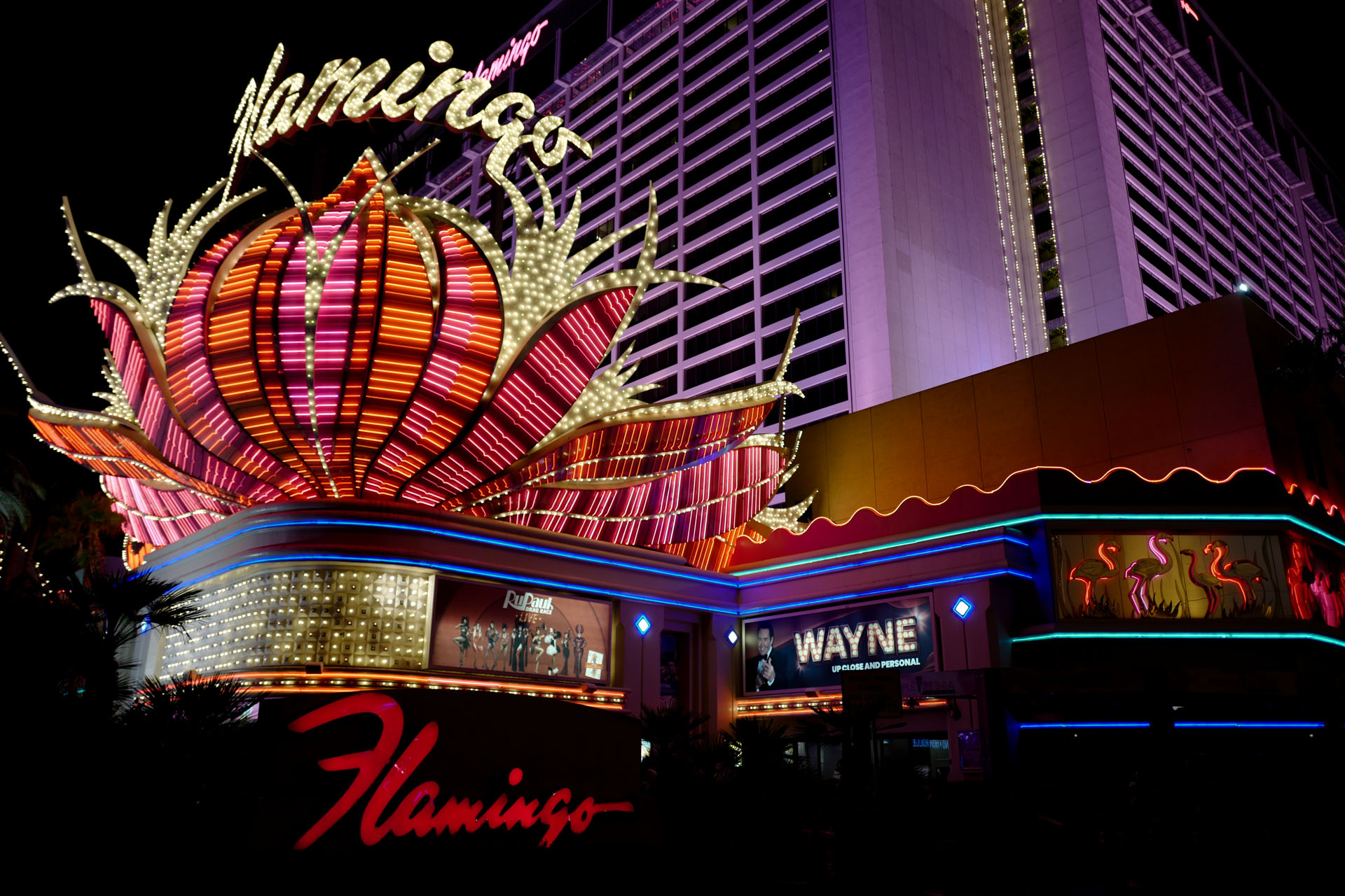 Flamingo Hotel &amp; Casino in Las Vegas